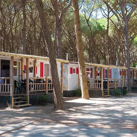 Mobilehomes In 21308 *