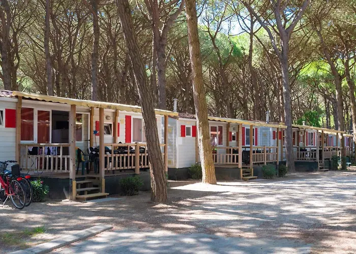 Mobilehomes In 21308 *